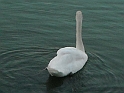 Caorle 2008 039